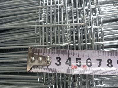 草原防護(hù)網(wǎng)